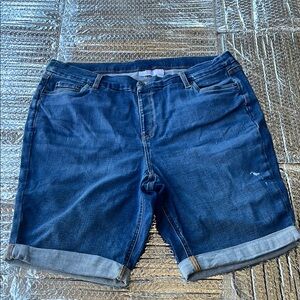 D & Co Women's Blue Denim Shorts